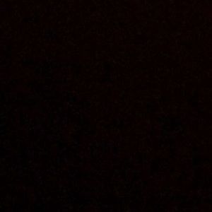 Meet your Posher, Curtis